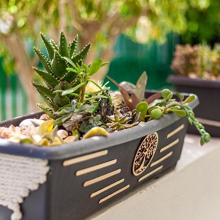 Cactus Apartment Maspalomas  Ngoại thất bức ảnh