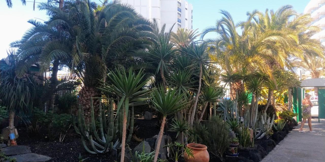Cactus Apartment Maspalomas  Ngoại thất bức ảnh