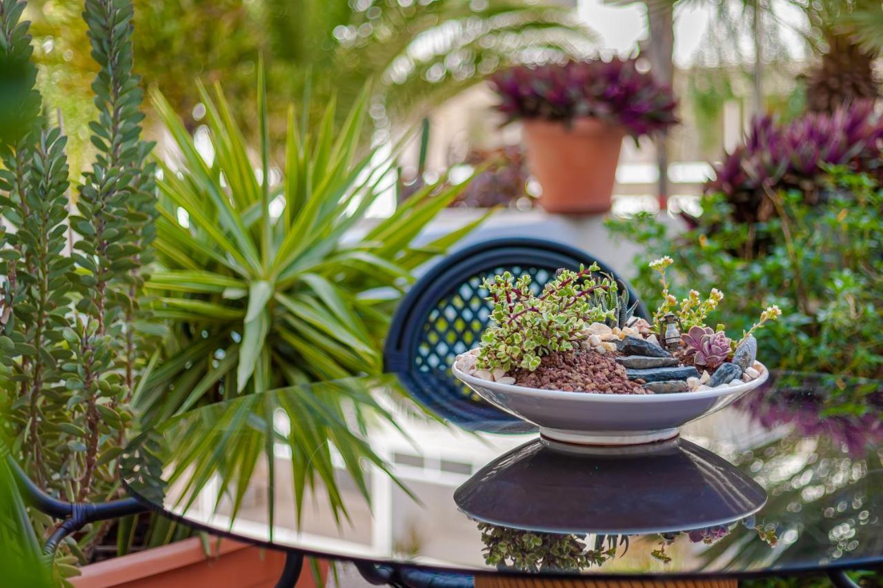 Cactus Apartment Maspalomas  Ngoại thất bức ảnh